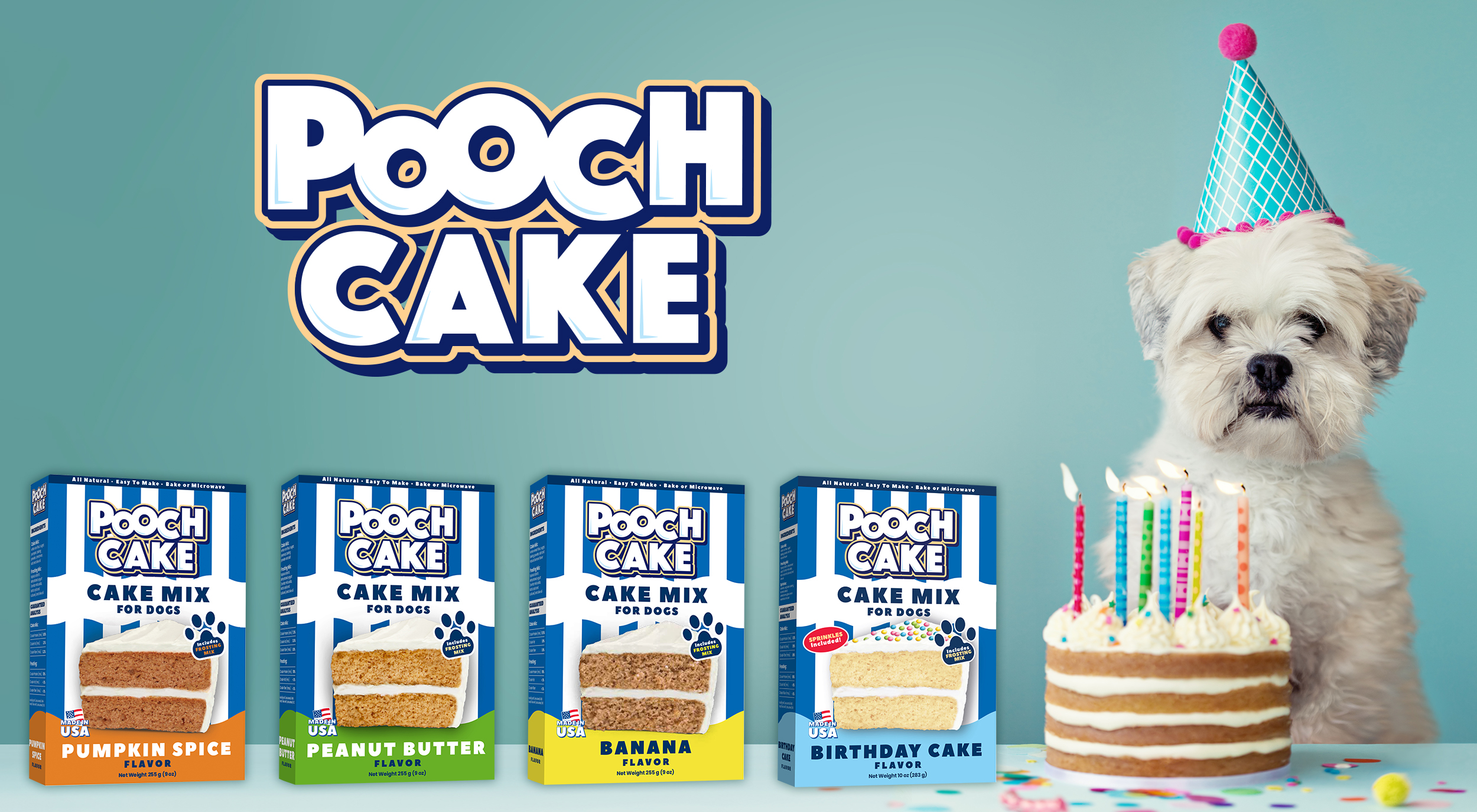 POOCH CAKE Basic Starter Birthday Cake Mix & Cake Mold Kit Dog Birthday  Cake, 10-oz box 